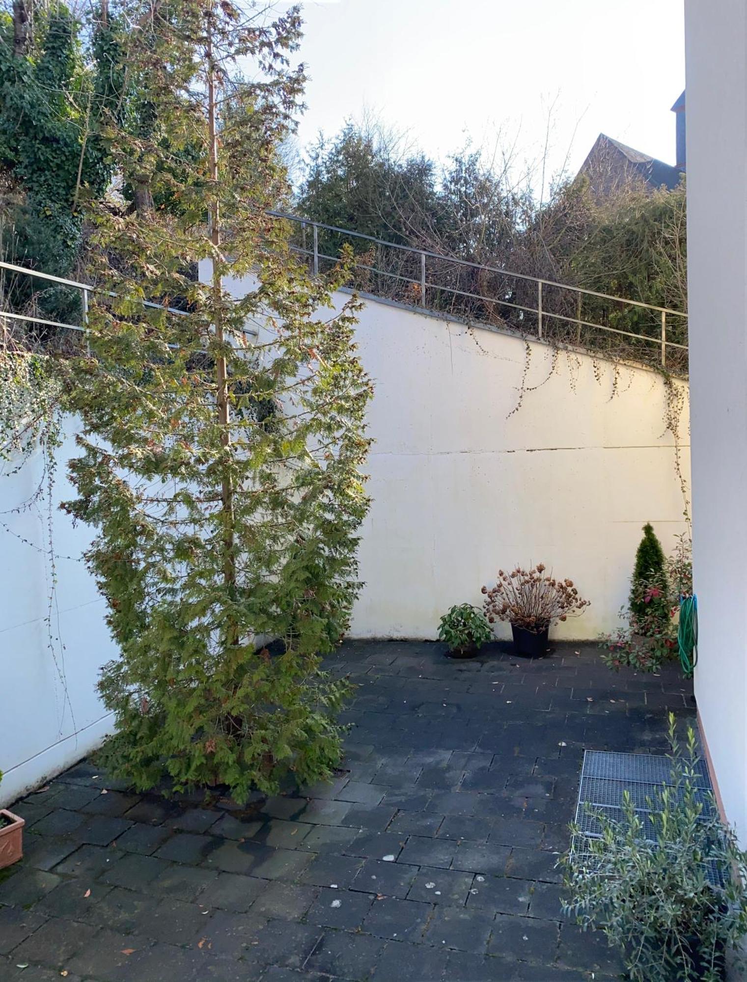 Hotel Traumblick Cochem Pokoj fotografie